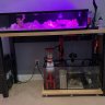 TankMaid