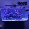 dreamzflex32.5