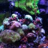 Poseidon9697