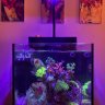 ozgunreef