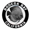Patrick M Bodega Aquatics