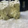 70g_reef