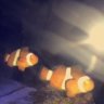 mr.H2ø