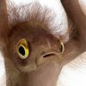 fishmonkey
