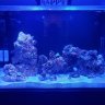ReeferE260