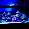reeferkeeperabq
