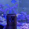 Cool tangs