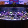 AquaMax