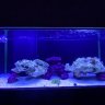 Ramdude4G