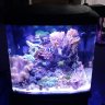 Nano15g