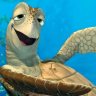Mckreef