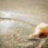 shells4