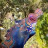 Dragonet