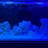 reefer269