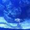 MybbleTipVanished