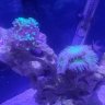 9mmReefer
