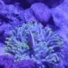 richardmwalker72