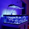 JoMenagerie