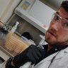 BraindeadBiologist