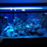 thinkclear_9