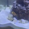 pvtguckin