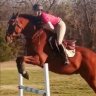 jumpingreefer88