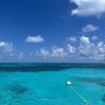 reefin_it