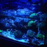 Little Blue Haven