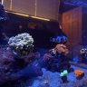 katsreef