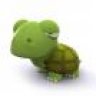 Turtle77