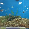 killereef
