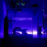 TIDEoftheTANK