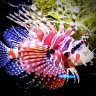 lovethefishes