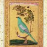 toor.attar