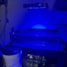 basementreef