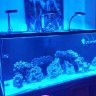 Parkers Reef.