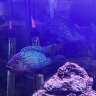 poseidonsparadise
