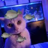 randomfishdude