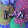 Dan_Reef87