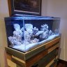 Iowa_Reef