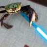 Luke Crabwalker