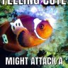 anemonegirl
