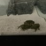 FishTank