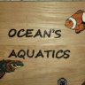 oceansaquatics