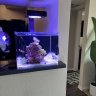 nano_reefer33