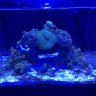 ReeferSF10