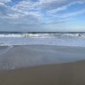 SeahorseKeeper
