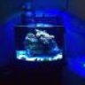 Newreef15