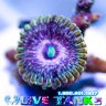 Live Tanks