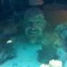 Mrshane